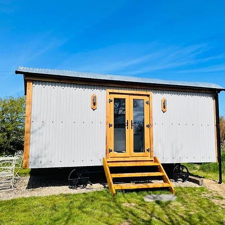 The Hut@Trefechan Wen - Coastal Coziness! Goodwick Exteriör bild