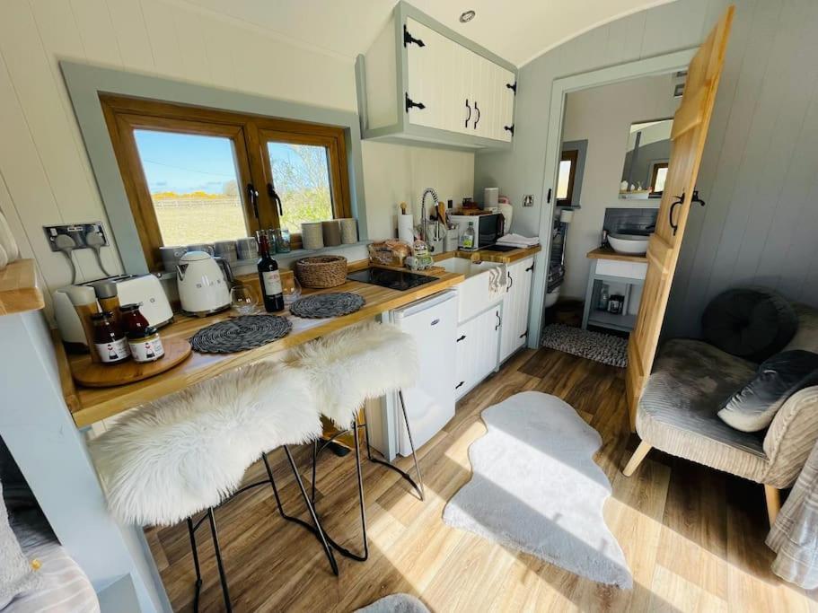 The Hut@Trefechan Wen - Coastal Coziness! Goodwick Exteriör bild
