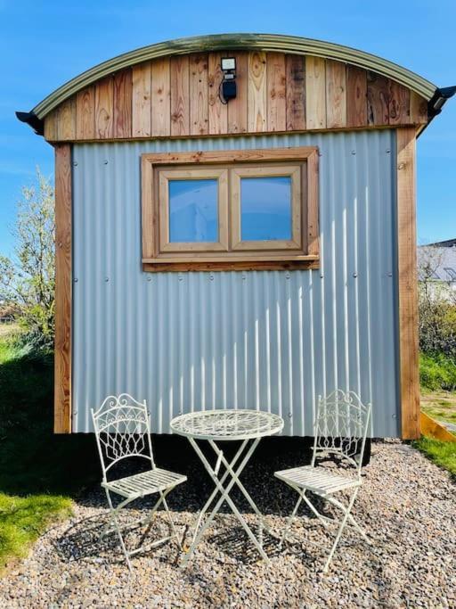 The Hut@Trefechan Wen - Coastal Coziness! Goodwick Exteriör bild